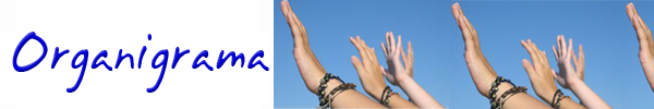 organigrama